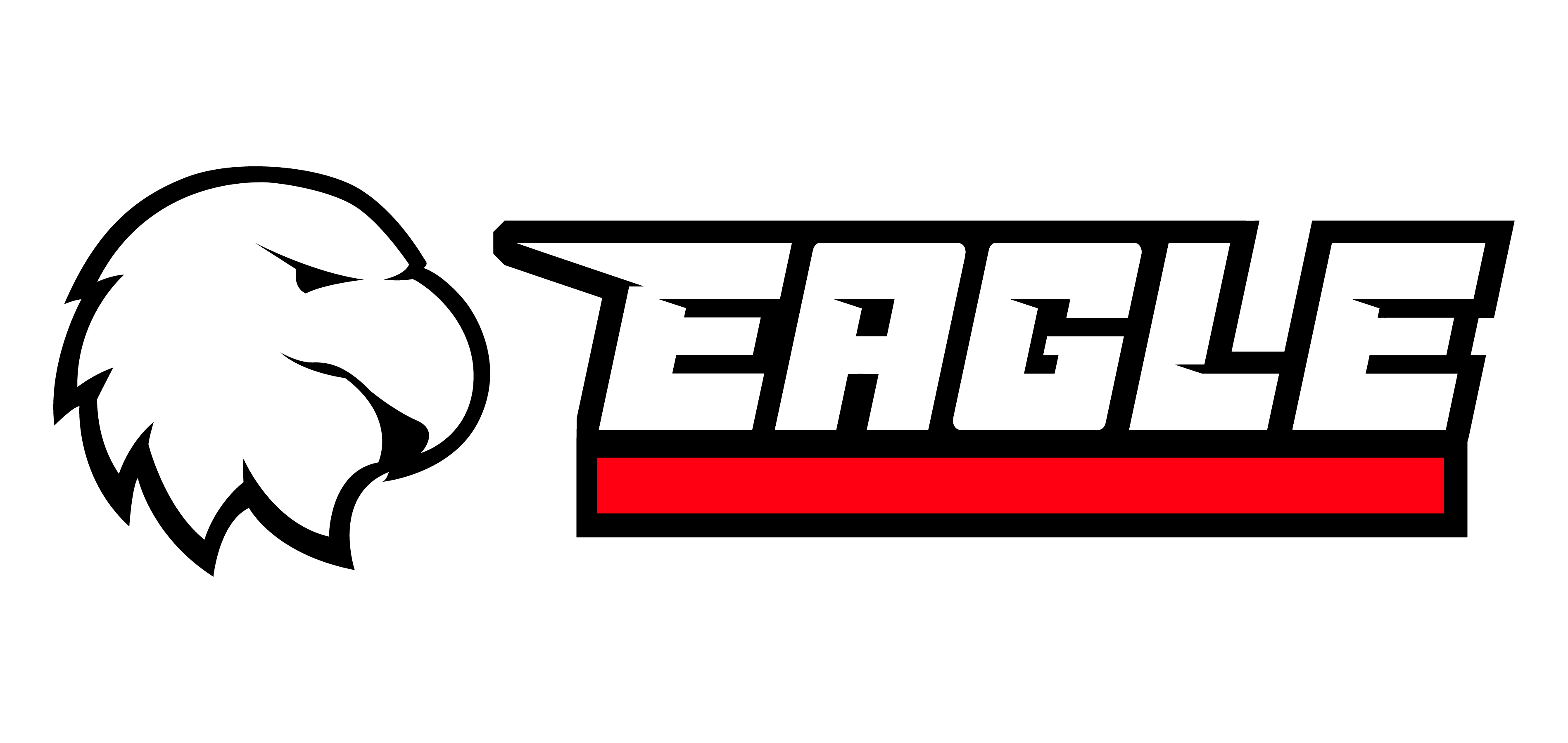 Dual Eagle Logo - Outline